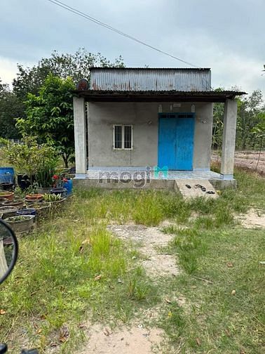 Cần bán gấp đất chính chủ Đường bê tông sau chợ tân thành, cách chợ 30
