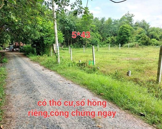 Chỉ 499 triệu sở hữu ngay 1 nền đất xác ĐƯỜNG NHỰA TẠI BẾN CẦU T.Ninh