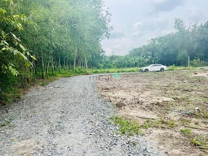 Thua đề bán gấp lô đất tại H.THẠNH ĐỨC GÒ DẦU 7 lô đất sẵn sổ, Full tc