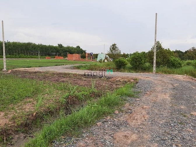 CHỦ GỬI BÁN GẤP Gò Dầu, Tây Ninh giá 482 triệu thổ cư 220m2, 475tr
