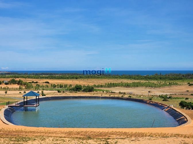 Cần bán lô đất 100% view biển 3392m2 Tuy Phong, cam kết thuê lại đất