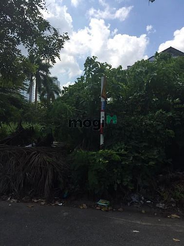 Bán Đất MT đường Số 6, P. Bình Trị Đông B, 4.5 x 22m, giá 9.4 tỷ. khu