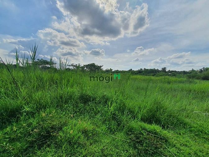 Bán đất Q9 phường Long Phước dt 2ha4 giá rẻ