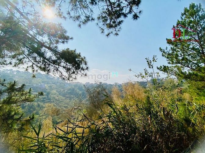 Bán đất Đặng Thái Thân Phường 3 Đà Lạt thích hợp đầu tư sinh lời