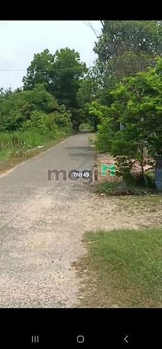 TÌM ĐÂU RA Đất xã Thạnh Đức Bến Cầu Chỉ 356tr thổ cư 130m2