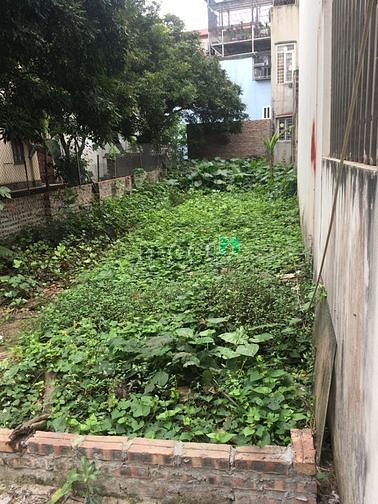 Bán đất Cổ Linh Thạch Bàn ngay ngã tư Thạch Bàn Cổ Linh 156m MT 5m