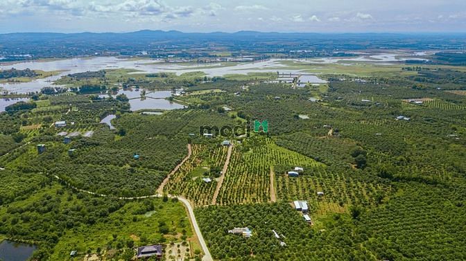 Bán Gấp Lô Đất Vườn 15mx 66m, Định Quán, Đồng Nai, Sổ Sẵn.