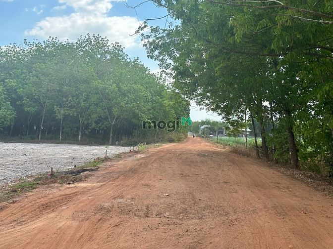 Tiện ích đa dạng đất AN TỊNH - TRẢNG BÀNG giá ưu đãi chỉ 179tr