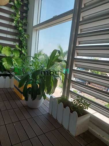 Cho Thuê Văn Phòng Sunrise City 9Tr 44m2