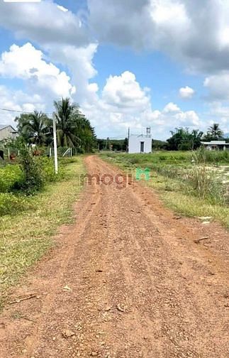 ĐẤT FULL THỔ CƯ 88m² Nguyễn Du, An Hoà, H. Trảng Bàng với 420tr có Sổ