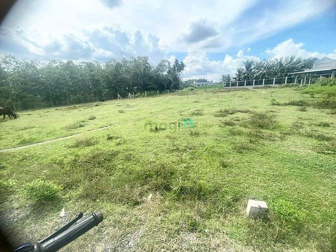 (Kèo tốc độ)Ngang 11.5*20m,,SUỐI CAO,PHƯỚC ĐÔNG!  giá 375triệu❗️ Mặt T