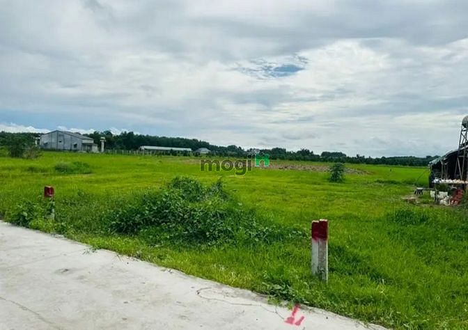 CHÍNH CHỦ SANG GẤP Phước Thạnh, Gò Dầu, 816m2, 499 triệu