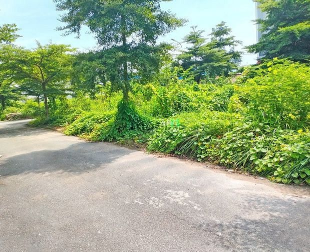 Lô đất 2 mặt tiền đường nhựa 6m Huỳnh Tấn Phát, Phú Xuân, Nhà Bè