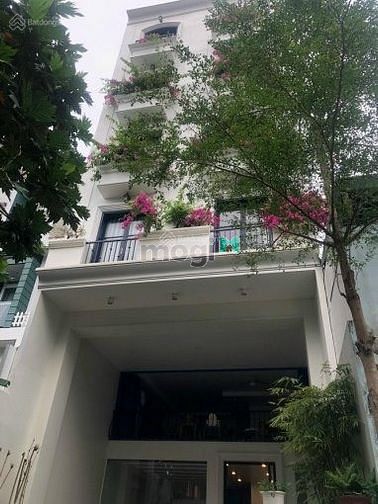 Chính chủ bán gấp tòa VP Xuân Thủy 7x24m hầm 7 lầu HDT: 159,46 triệu.