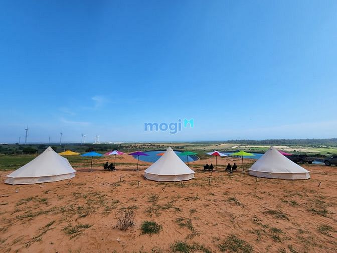 Cần tiền nên bán gấp lô đất 5000m2 view biển xã Bình Thạnh, làm farm