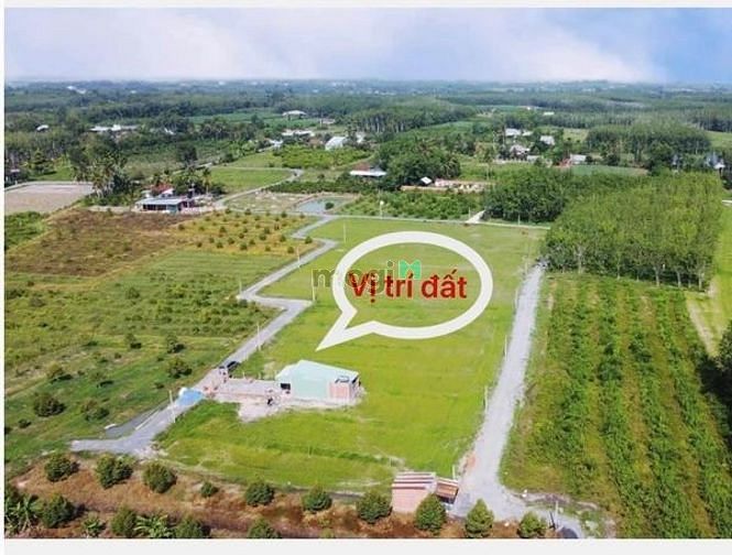 NƠI AN CƯ LÝ TƯỞNG bán đất Ấp Cây Da Hiệp Thạnh Gò Dầu 120m²