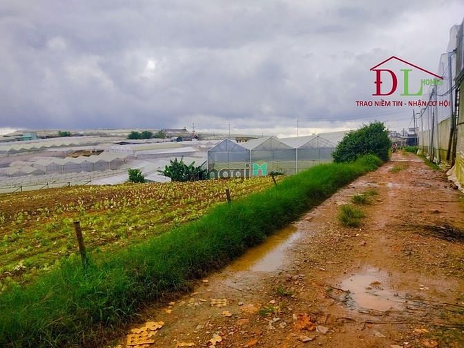 Bán đất Nguyên Tử Lực Phường 8 Đà Lạt có view hồ Chiến Thắng - MN3393