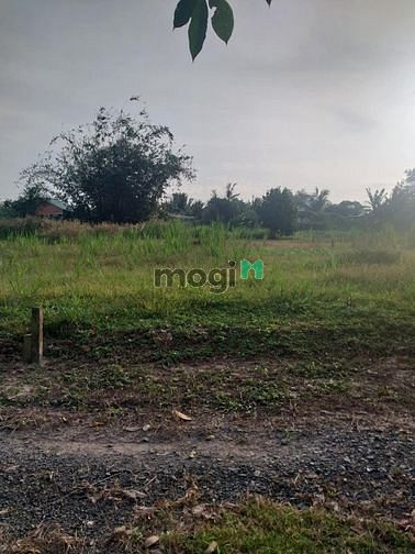 Cần bán gấp lô đất tại Hiệp Thạnh, Gò Dầu, Tây Ninh Ấp Tầm Lanh 1623m2
