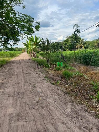 CHỈ 127TR Lô đất dt chuẩn 5x30 full thổ cư Châu Thành - Tây Ninh SHR