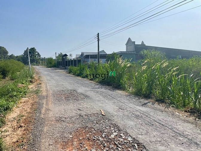 THIẾU VỐN BÁN GẤP đất Dương Minh Châu, Tây Ninh, 150m2, 500 triệu, SHR