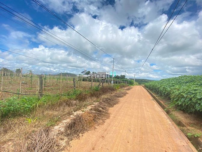 Bán Đất TT Liên Nghĩa 5x23m tc72m Giá Chỉ 970tr