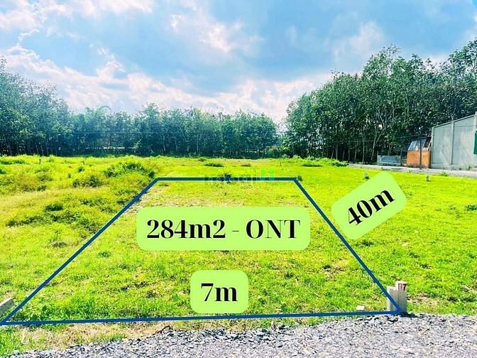 Giá chỉ 310 triệu/m2 cho lô đất thổ cư 284m2 tại Gò Dầu - Tây Ninh shr