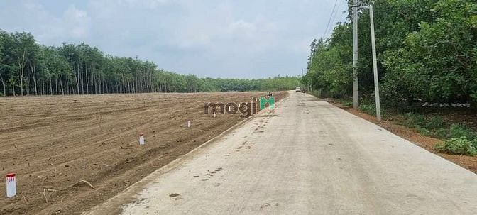 e còn lô 100m2 tân hiệp phú giáo đất có skc