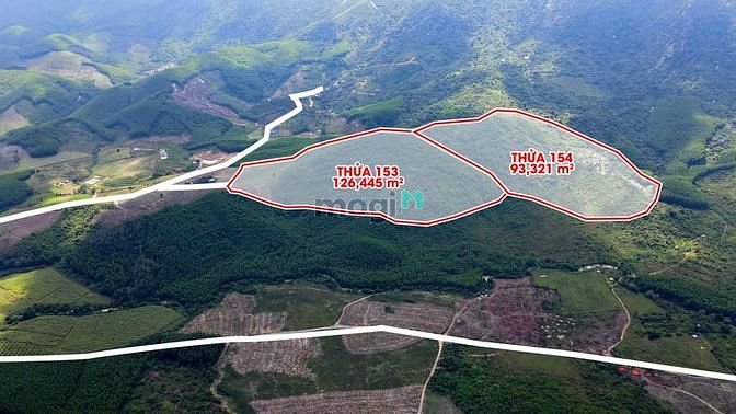 Bán 22 ha đất RSX Ninh Tân - Ninh Hòa