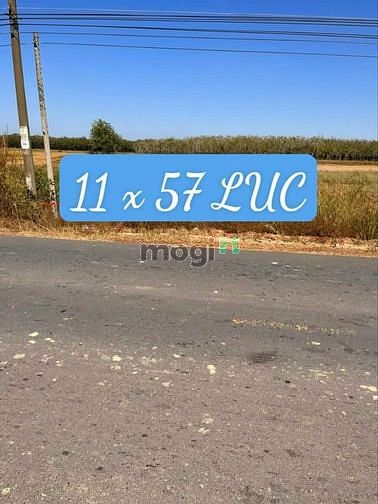 Mặt tiền nhựa liên xã Hòa Hội Châu Thành Một lô duy nhất giá 350 tr