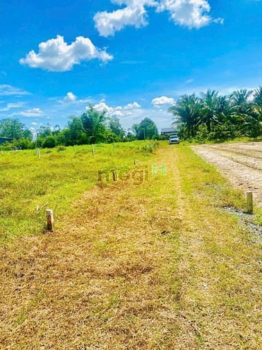 CHÍNH CHỦ SANG GẤP Phước Thạnh, Gò Dầu, 816m2, 790 triệu, PLRR