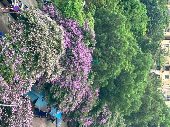 Bán nhà gần mặt phố Mạc Thái Tổ , diện tích:60 m2 , giá:21 tỷ