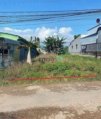 Bán gấp lô đất 157m2, SHR, Giá 215 Triệu Huyện Gò Dầu, Tỉnh Tây Ninh.