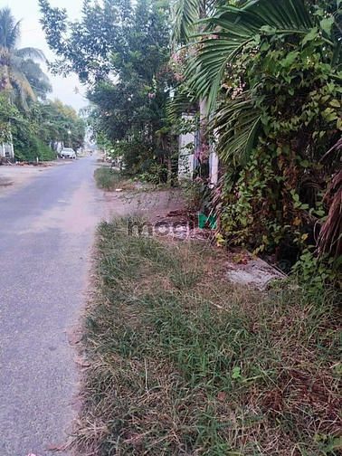Phạm Hùng vào 200m có vài thửa 5× 28 full thổ cư TX.Hòa Thành Tây Ninh