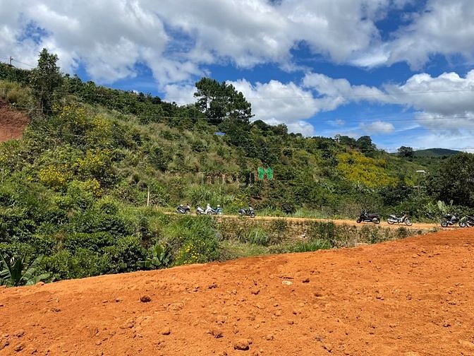 ?Siêu hot đất trấn nam ban huyện lâm hà lâm đồng?