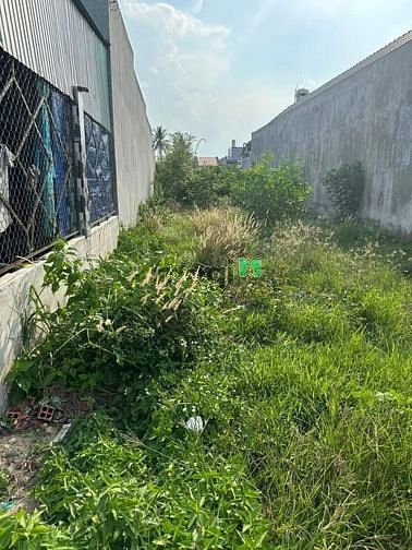 Cần tiền đi Mỹ, bán đất chính chủ  Ấp Trường An, xã Trường Tây, Thị xã