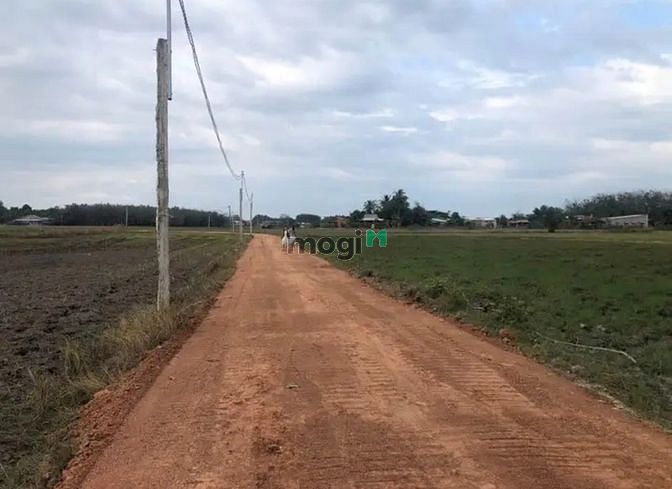 BỂ NỢ BÁN ĐẤT TC ấp Bến Chò H. Tân Châu 110m² với 290tr sở hữu ngay