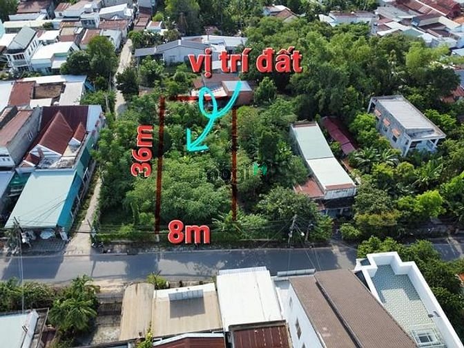BÀ CỐ NGOẠI BÁO MỘNG bán đất Ngô Gia Tự thị trấn Gò Dầu 288m²