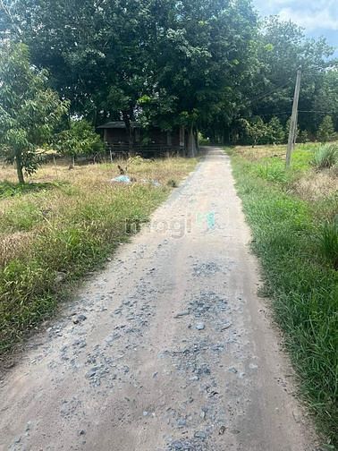 Bán gấp lô đất dmc Tây ninh  ?25*44 cln 1/ nhựa giáp ranh giữa gò dầu