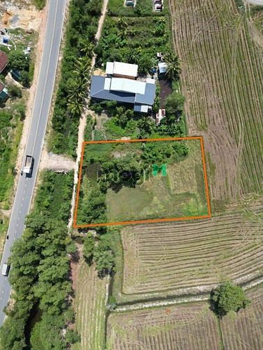 Bàng  Dt 34x60 m có 1000m2 thổ cư  Và 1000m đất trồng lúa  Có hai sổ d