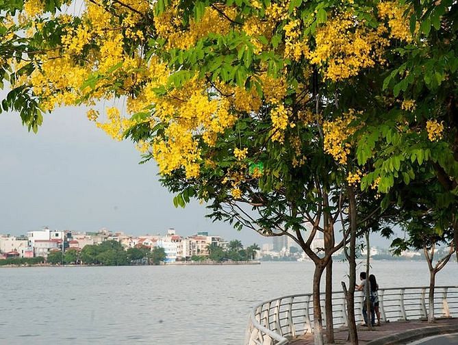 Siêu mặt tiền 17m phố Xuân Diệu nở hậu lô góc ngõ Tô Ngọc Vân 42 tỷ