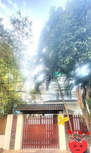 ? Cho thuê villa 6 phòng ngủ chỉ 73tr, Đ. Nguyễn Văn Hưởng