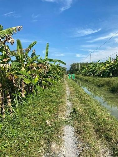 ‼️Chủ gửi 2,5 công đất hoà thành tây ninh Giá 1ty200 Thương lượng