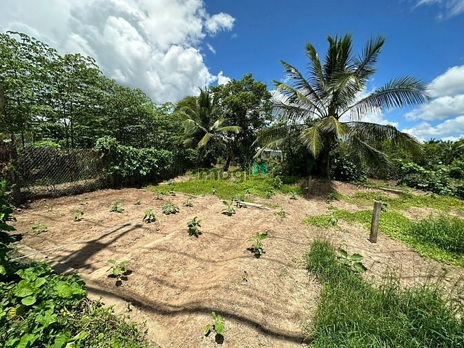 490 TRIỆU: 65,5m2 đất lộ ô tô 5m cách đường Chí Sinh, Tân Phú, Cái Răn