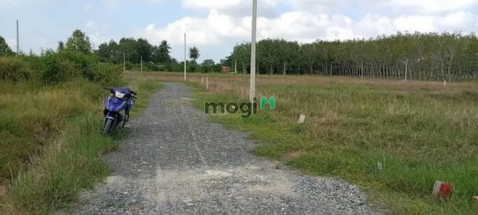 BÁN NHANH ĐẤT NỀN TC Ấp Sa Nghe, Ninh Điền, Châu Thành 128m2 giá 385tr