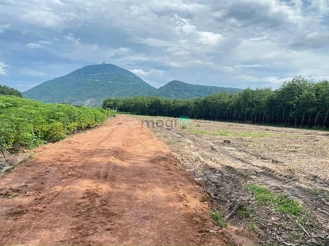 Đất Thạnh Tân.  Giá ngợp chủ cần ra gấp ? Diện tích;(((39x53) CLN. Qu