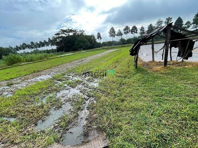 Thua cá độ bán liền lô đất tại TX.Trảng Bàng Tây Ninh giá deal 490tr