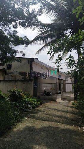 Bán nhà xưởng giá rẻ tại thành phố Bến Tre, đang cho thuê 60tr/tháng