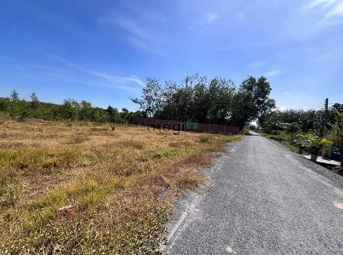 Bán đất mặt tiền nhựa Phước Đông, Gò Dầu, Tây Ninh giá 325tr 130m2 tc