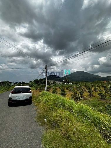 Chưa đầy 1 tuần CHỦ ĐÃ HẠ còn 315tr Ngộp Mặt Tiền nhựa Thạnh Tân TPTN
