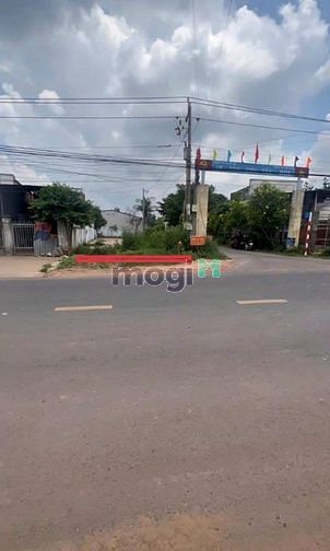 ‼️Vị trí mặt tiền Trần Văn Trà gần công ty hột điều Ấp Tân hòa, xã Tân